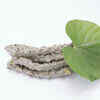 Anti-diabetic medicinal plants