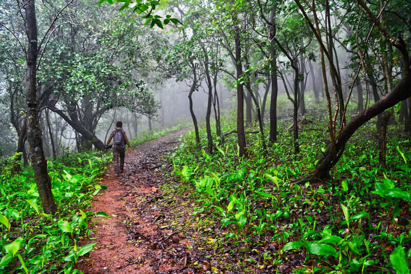 Sanjay Gandhi National Park