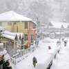 Article image for: New pictures of <i class="tbold">dalhousie</i>