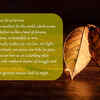 Article image for: Dover Beach by <i class="tbold">Matthew Arnold</i>