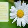 'If we had no winter, the spring would not be so pleasant'