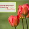 'Spring is God's way of saying, 'One more time!''