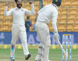 ​ Ravindra Jadeja celebrates after taking wicket