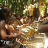 Article image for: Watch: A musical procession through the sacred groves in Kerala