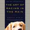 The Art of Racing in the Rain – Garth Stein