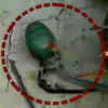 Article image for: Live grenade found in Pulwama, <i class="tbold">bomb disposal squad</i> rush to the spot