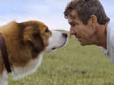 A Dog's Purpose