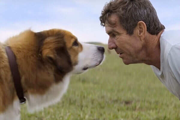 Dennis Quaid Images