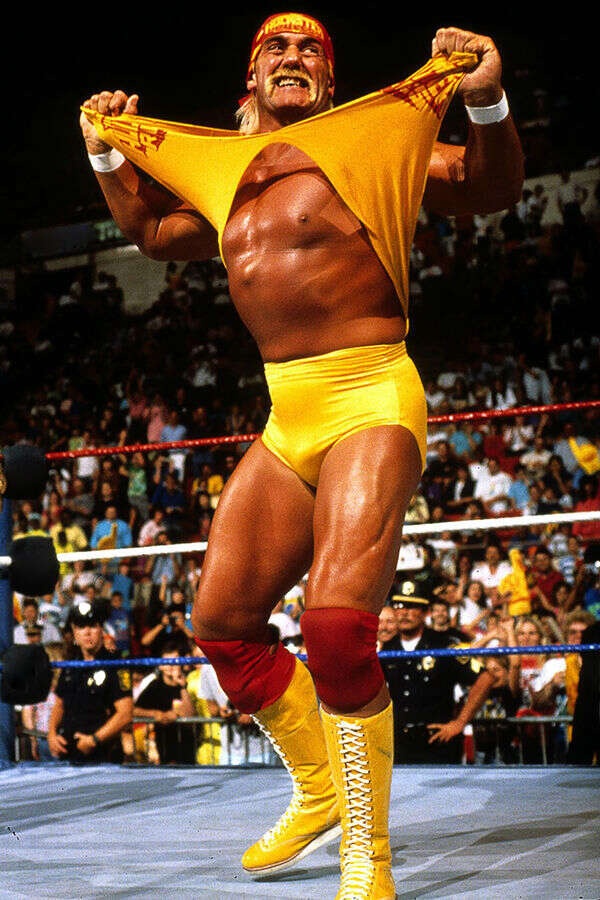 Hulk Hogan