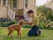 A Dog's Purpose: Release clip compilation