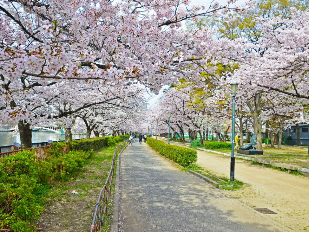 Ueno Park & Zoo, Tokyo - Times of India Travel