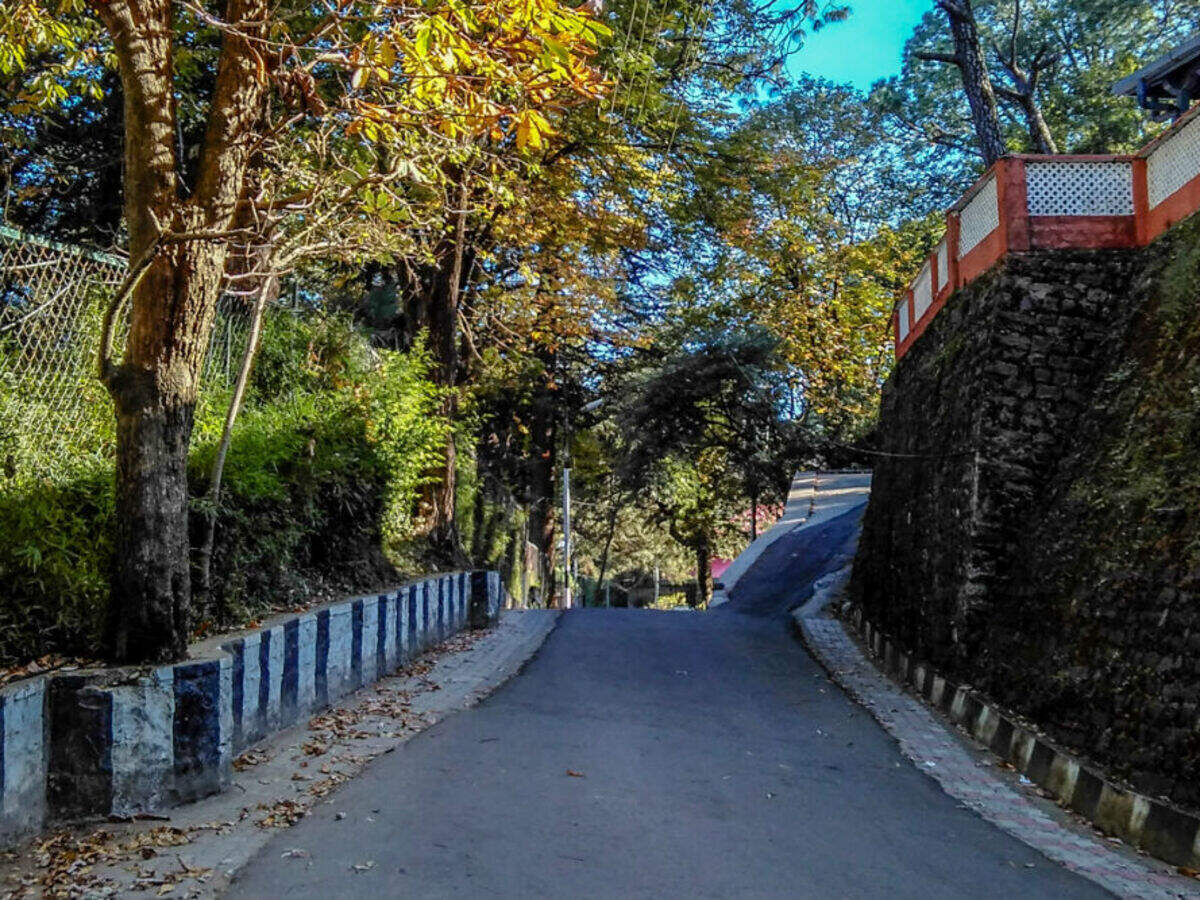 Lovers Lane Kasauli: Discover the Romantic Hidden Gem Lovers Lane Kasauli: Discover the Romantic Hidden Gem