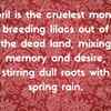 On its wretchedness