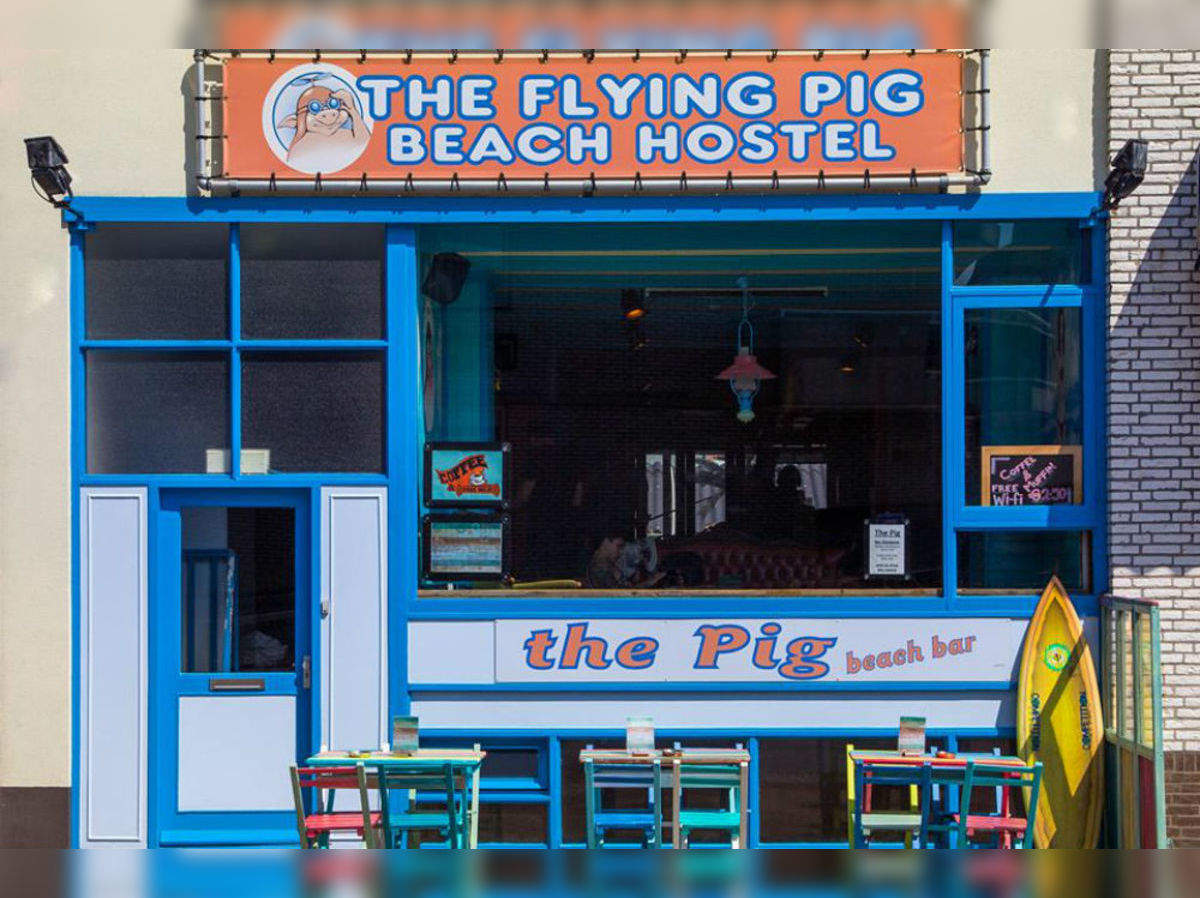 The Flying Pig Hostel Amsterdam Uptown Amsterdam Times Of India Travel