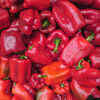 Flavonoids