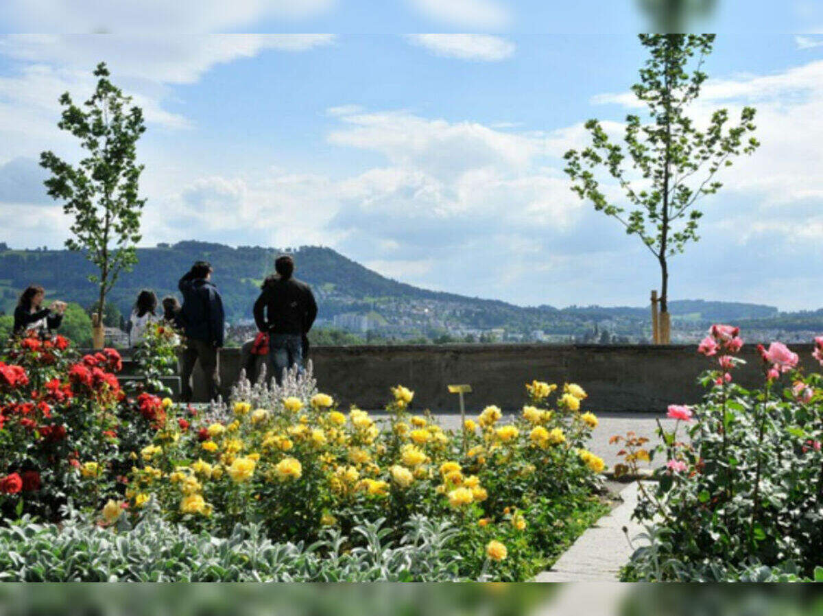 Rosengarten