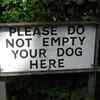 Who emptied the dogs out