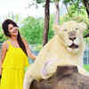 Article image for: New pictures of <i class="tbold">Sonarika Bhadoria</i>