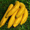 ​Bananas