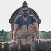 Article image for: Trending photos of <i class="tbold">Suniel Shetty</i> on TOI today