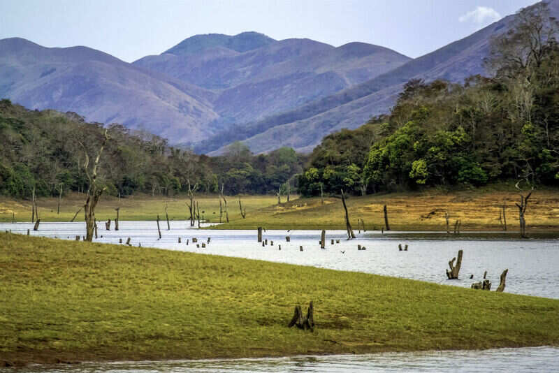 Periyar National Park