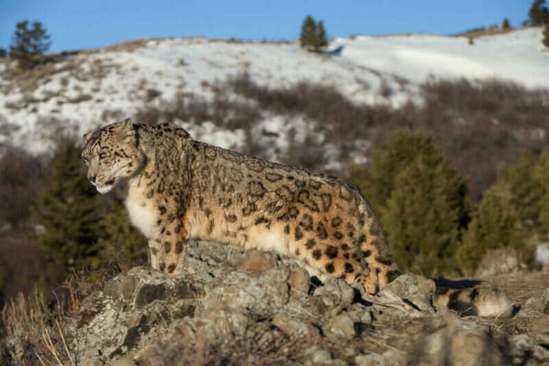 The great himalayan national park