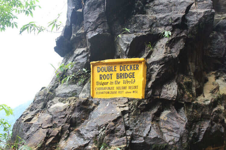 Discovering the undiscovered: a complete guide to visiting the living root bridges in Meghalaya