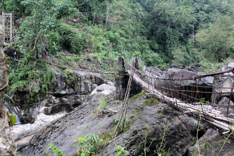 Discovering the undiscovered: a complete guide to visiting the living root bridges in Meghalaya