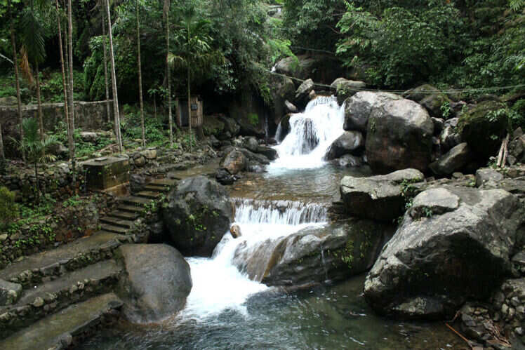 Discovering the undiscovered: a complete guide to visiting the living root bridges in Meghalaya
