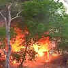 Article image for: Massive fire engulfs slums near <i class="tbold">Nizamuddin</i> area