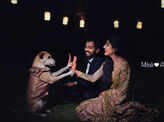 Mitali and Ali's bow wow wedding!