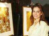Art exhibition by Megha Joshi 
