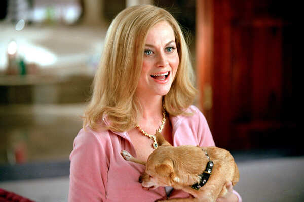 Amy Poehler Pictures