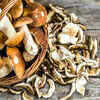 Increase selenium count