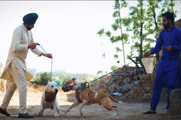 Kamal Grewal Photos
