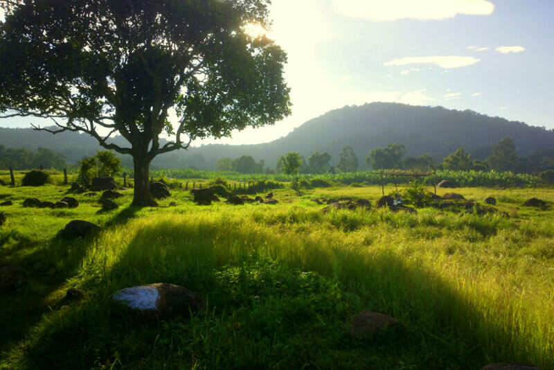 In the lap of nature &ndash; places in Yelagiri