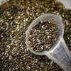 Chia seeds