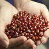 Beans