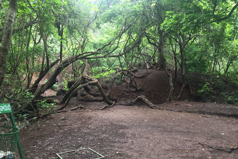 Ananthagiri_Hills_Trekking_Area
