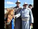 modi-pony-in-the-mongolian-way