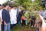 Amruta Fadnavis inaugrates NAREDCO Maharashtra's Tree Plantation Drive