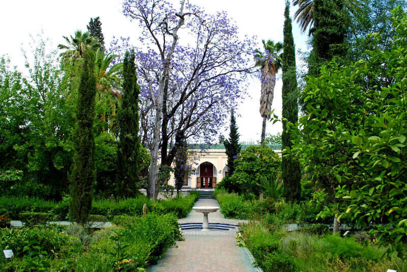 Dar_Batha_Museum_Fes_(8958254162)