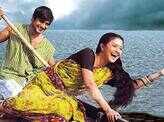 Achin Pakhi