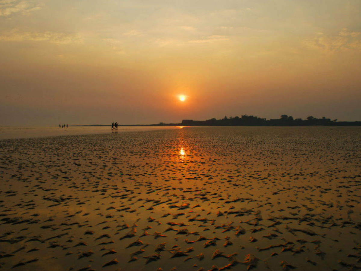 Alibaug Tourist Places Map Places To Visit In Alibaug | Tourist Places In Alibaug | Alibaug Sightseeing | Times Of India Travel Alibaug Tourist Places Map Places To Visit In Alibaug | Tourist Places In Alibaug | Alibaug Sightseeing | Times Of India Travel