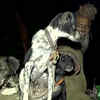 Article image for: Meet Sadhu Dula Nath, who travels to religious places with his dogs since last 10 years