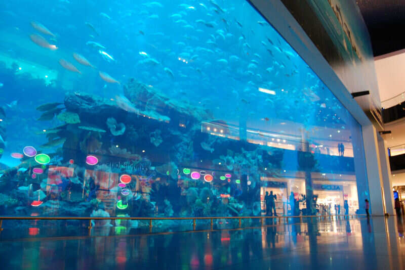 DubaiMallAquariumDSC_7260