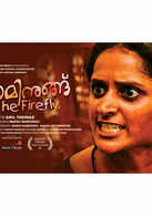 Minnaminungu The Firefly