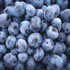 ​Blueberry