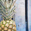 ​Pineapple