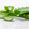 ​Aloe Vera